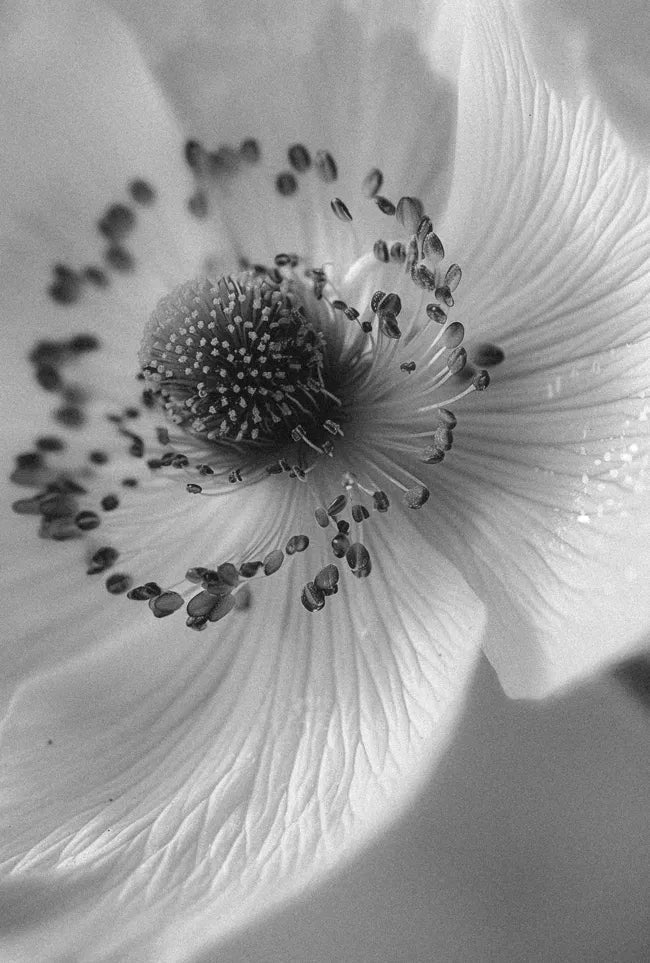 Embracing Vulnerability
