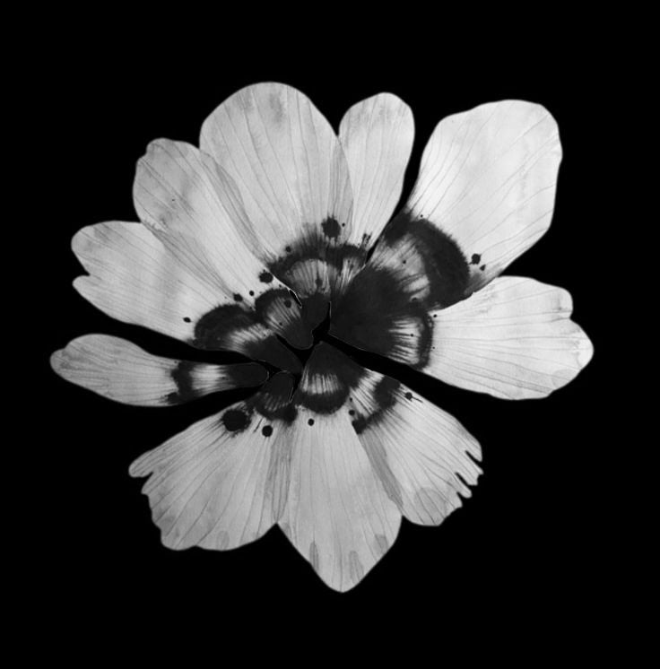 The Power of Forgiveness